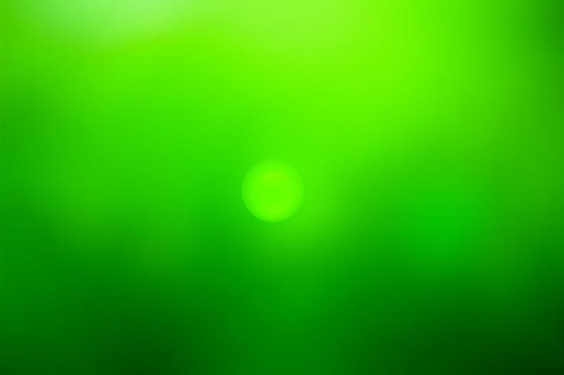 Lush green leaves and herbs, symbolizing natural growth and environmental protection.